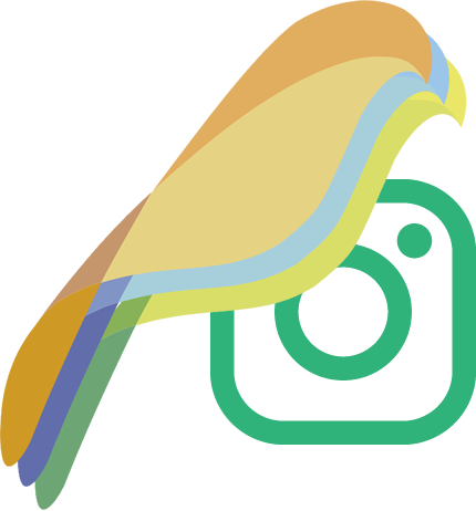 Can�rios Brasil Instagram